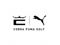 Cobra Puma